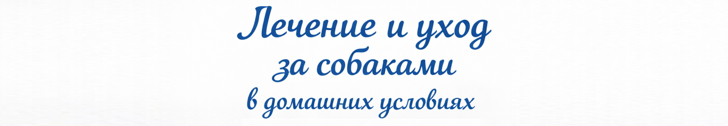 Лечение собак